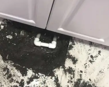 岷县查漏水哪家好