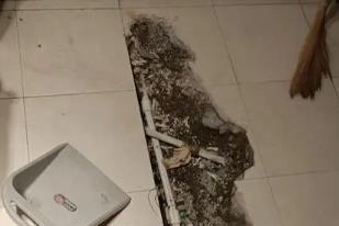 岷县卫生间漏水检测电话